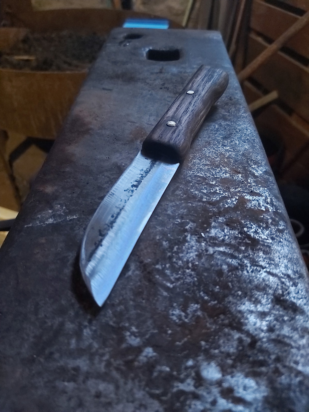 Small Hand-Forged Wooden Handle Knife