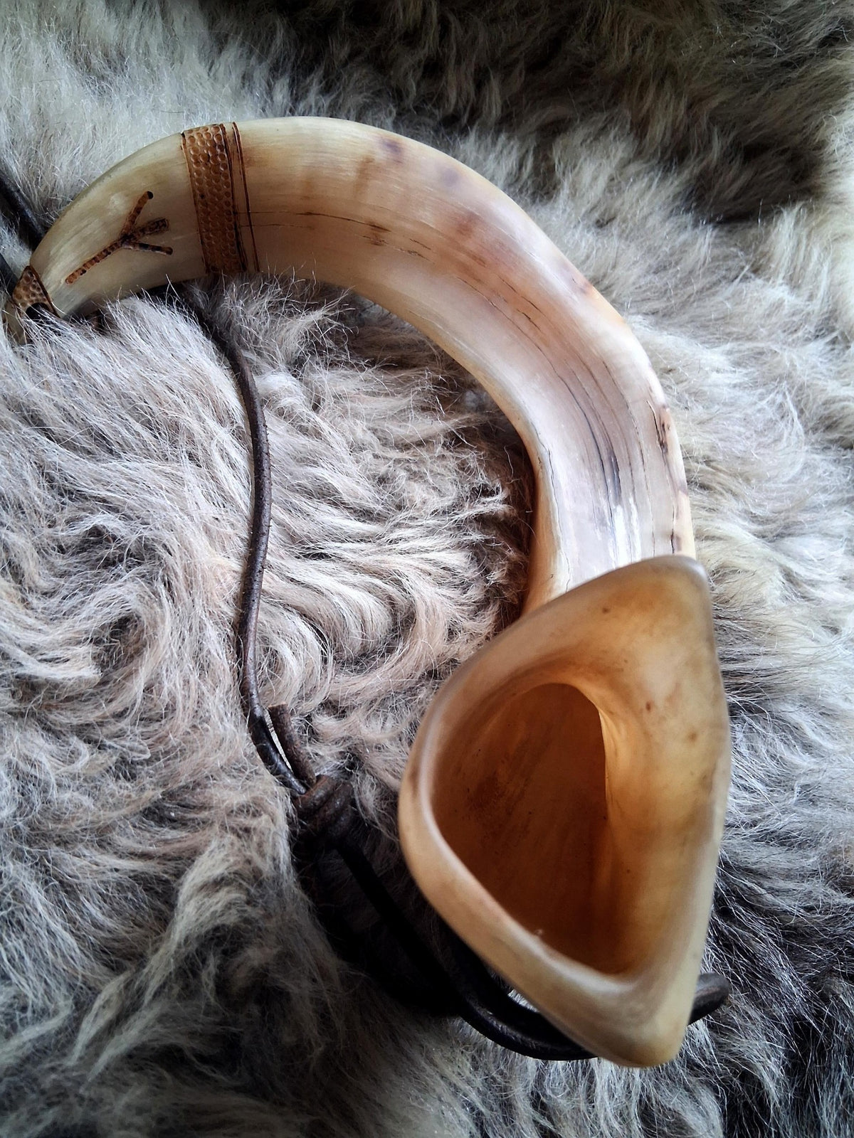 Hand-carved Orkney Boreray ram horn, detail photograph 10